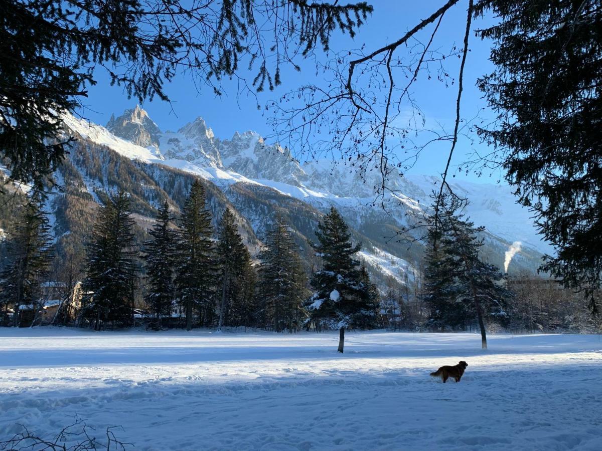 Apartment Maya, La Praz, Chamonix Mont Blanc Eksteriør billede