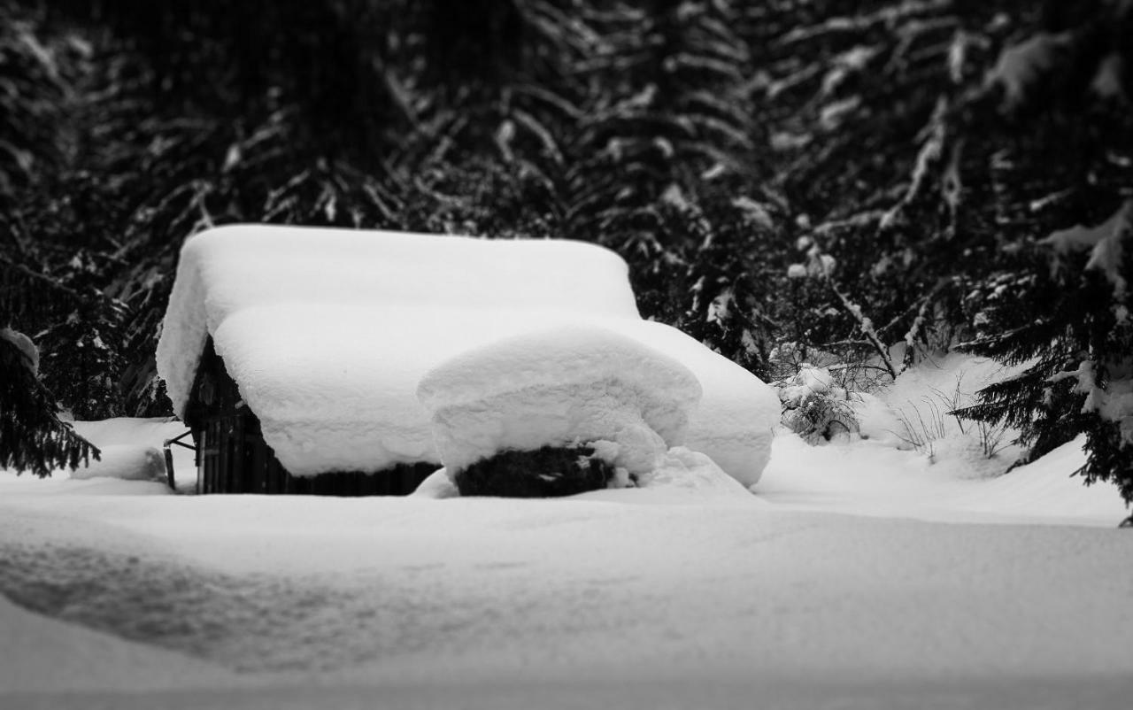 Apartment Maya, La Praz, Chamonix Mont Blanc Eksteriør billede